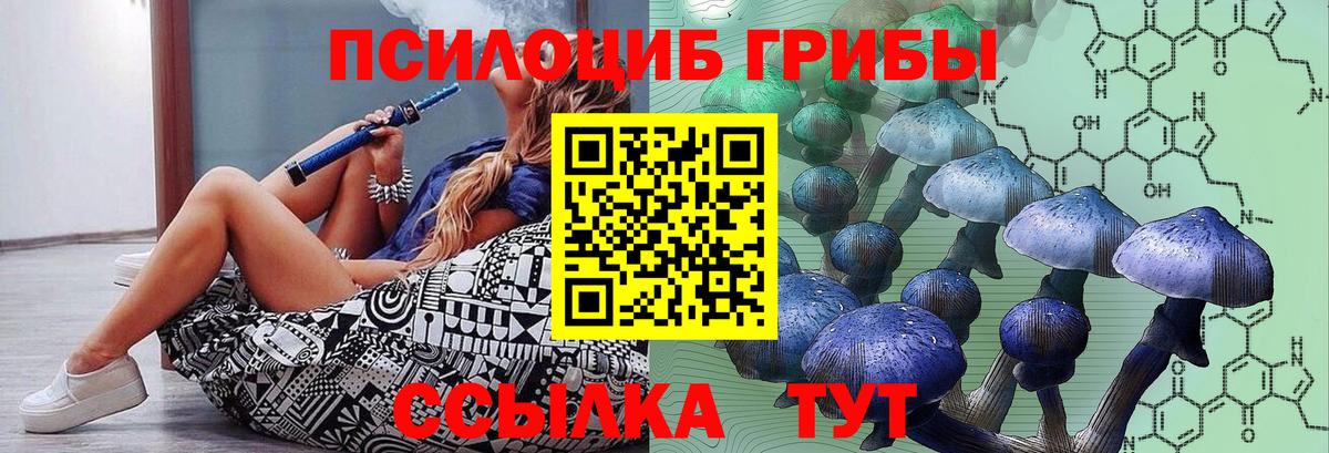 Псилоцибиновые грибы прущие грибы Армавир
